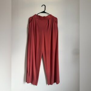 Express Terracotta Wide-Leg Pants